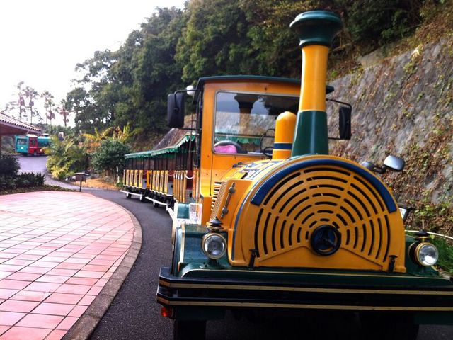 園内を走るトレインバス_長崎県亜熱帯植物園