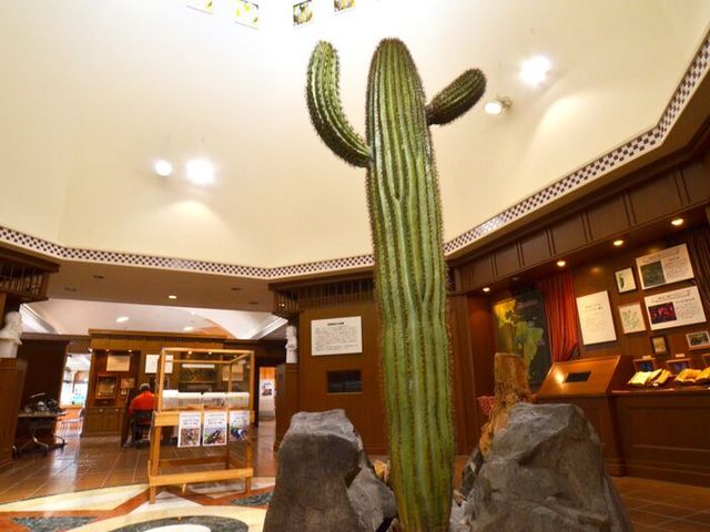 バックスター博士の研究室_長崎県亜熱帯植物園