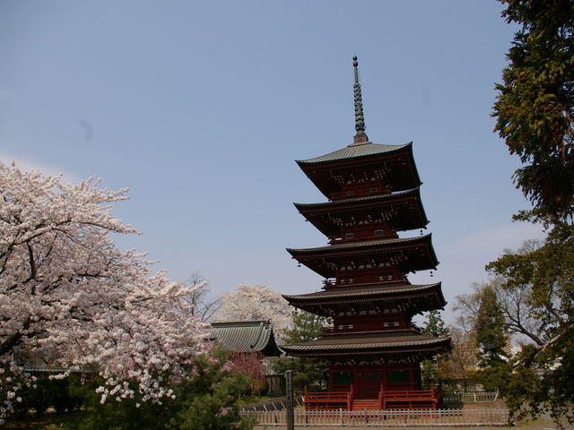 【みどころ】東北一の美塔といわれる“最勝院・五重塔”!_公益社団法人弘前観光コンベンション協会
