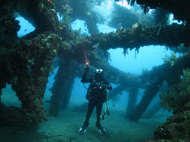 Diver's Cafe