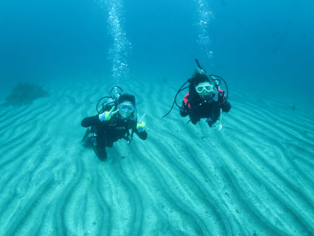 Diver's Cafe