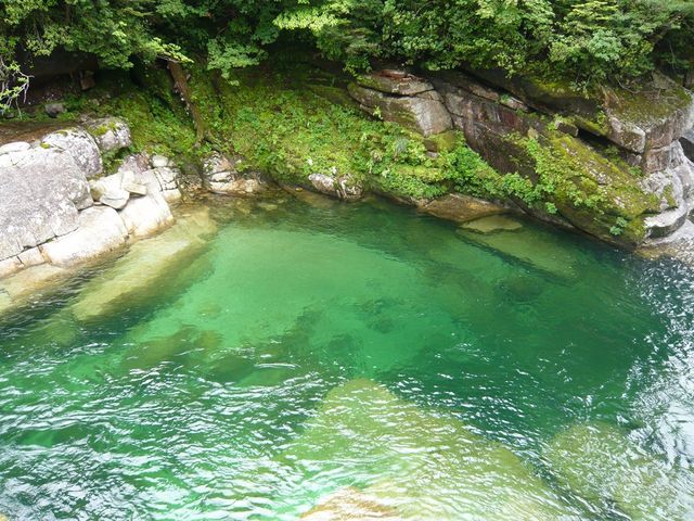 屋久島山歩