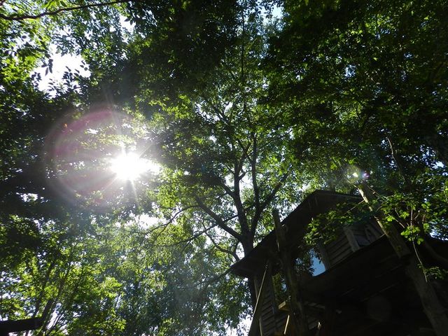 天気のいい日は最高です。1年中楽しめる人気の体験プログラムピザ焼き体験を是非どうぞ!_ファーマーズヒル(旧かたつむり)