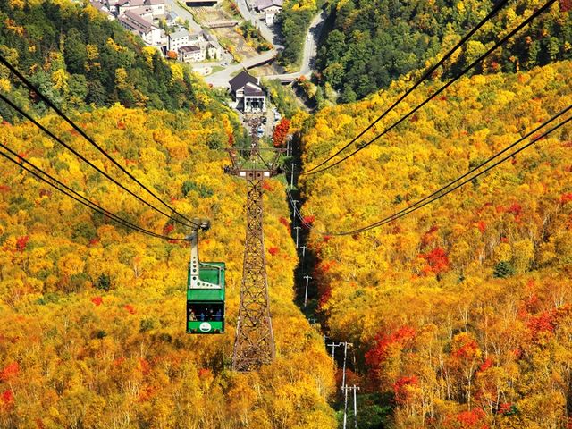【秋】ロープウェイと紅葉_大雪山層雲峡・黒岳ロープウェイ
