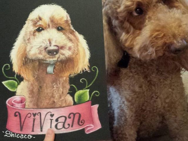 SHICACO's Chalkart