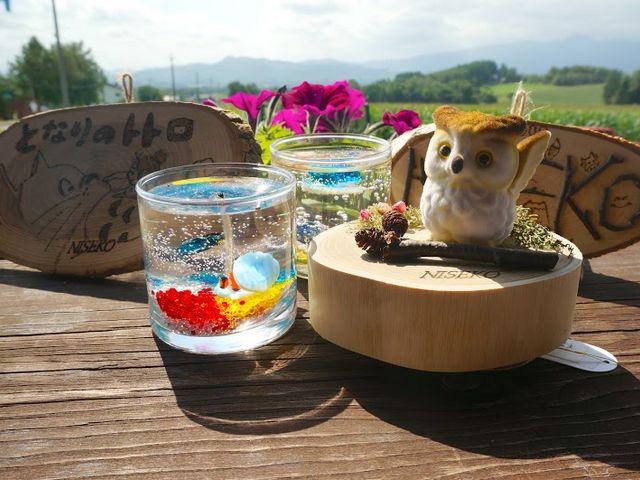 ニセコシーズンズ