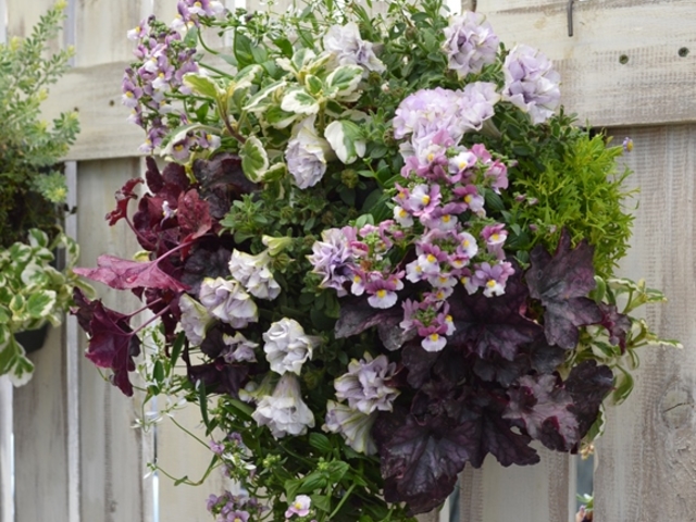 FloraRIE