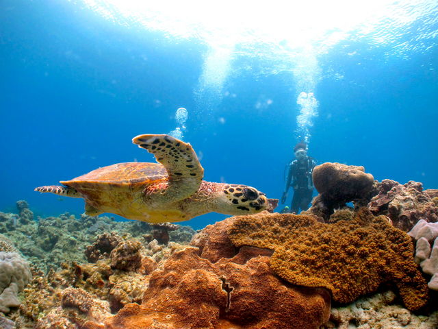 Dive Center Isles(ダイブセンターアイルズ)