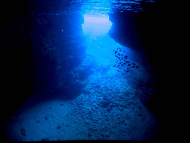 Dive Center Isles(ダイブセンターアイルズ)