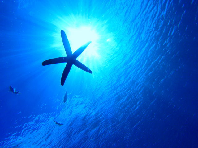 Dive Center Isles(ダイブセンターアイルズ)