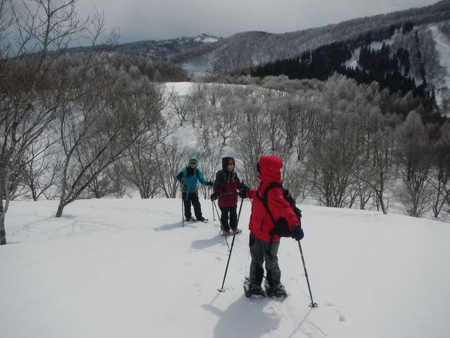 一滴Paddle&MountainGuide