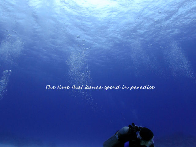 Diving Shop KANOA