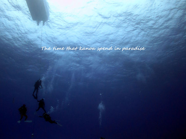 Diving Shop KANOA