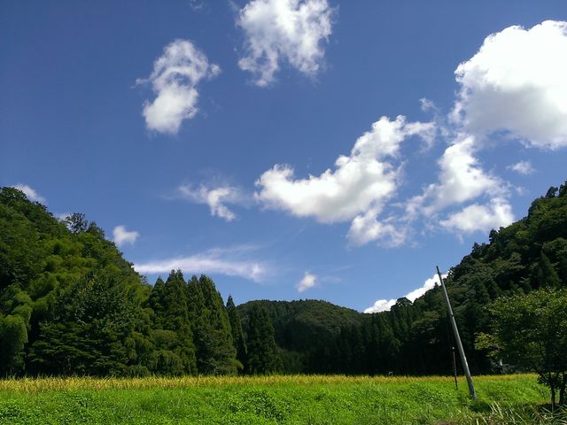 自然の音がBGM♪
日常の喧騒を離れのんびり〜リラクゼーションBBQ!_「山の季」きゃら