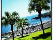 clover diving serviceの写真2