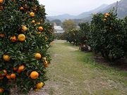 おみやげナガノの写真3