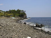 DIVING SERVICE GO TO THE SEAの写真3