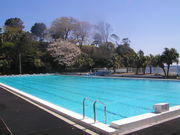 DIVING SERVICE GO TO THE SEAの写真4