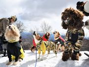 ネイチャープラネットの写真2