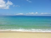 YAKUSIOMONOGATARIの写真3