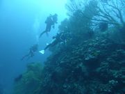 一組貸切専門「海の遊び処 なかゆくい」の写真3