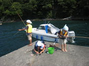 サンライズ大瀬マリンサービスの写真2