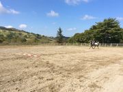 風薫る丘みちのく乗馬クラブの写真4