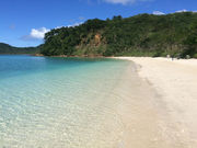 西表インシャーの写真2