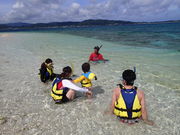 西表インシャーの写真4