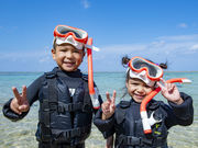 サマーリゾート沖縄の写真2