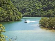 浦内川観光の写真4