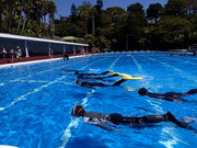 ダイブドリームの写真3