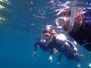 ダイブドリームの写真4