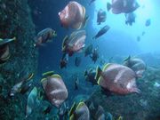 Breeze & Kencha Rumahの写真4