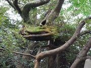 波音の宿 中村屋の写真3