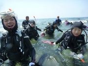 ダイブナッツの写真2
