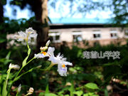 鬼首山学校の写真1
