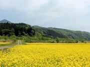 鬼首山学校の写真4