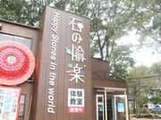 石の愉楽の写真2