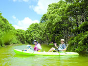 ネイチャーみらい館の写真2