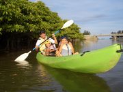 ネイチャーみらい館の写真3