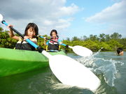 ネイチャーみらい館の写真4