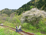 大館・小坂鉄道レールバイクの写真4