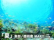 フリーウェイの写真4