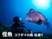 フリーウェイの写真2