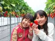 鹿深いちご園の写真3
