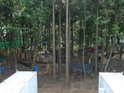 箱庭的サバゲ―フィールド「ホワイトベース」の写真3