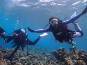 ダイビングショップKUKURUの写真2