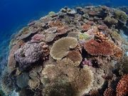 ダイビングショップKUKURUの写真3