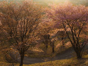 フォトオフィスSiknuの写真2